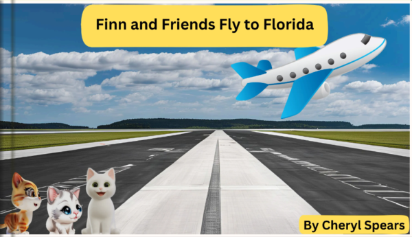 Finn and Friends Fly to Florida