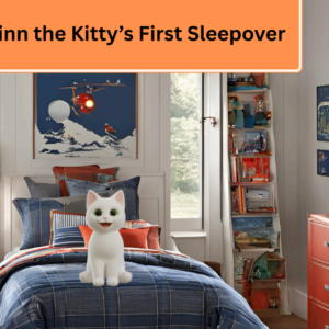 Finn the Kittys First Sleepover