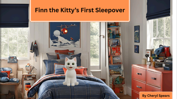 Finn the Kittys First Sleepover